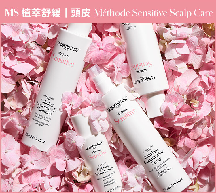 S-品萱國際MS頭皮專案